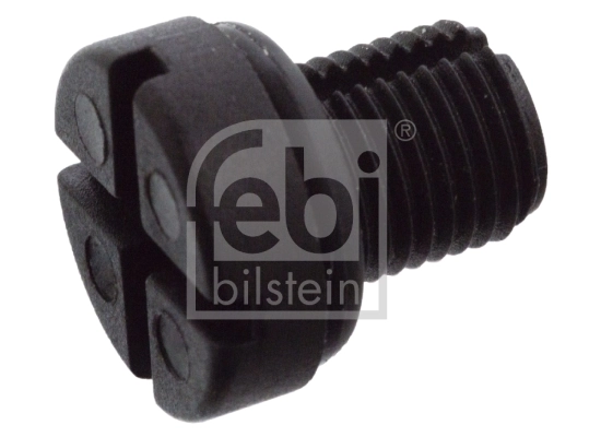 Breather Screw/Valve, radiator